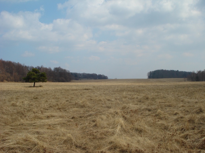 dsc07092