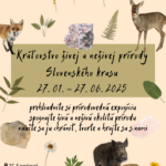 Kráľovstvo živej a neživej prírody Slovenského krasu 🌿
