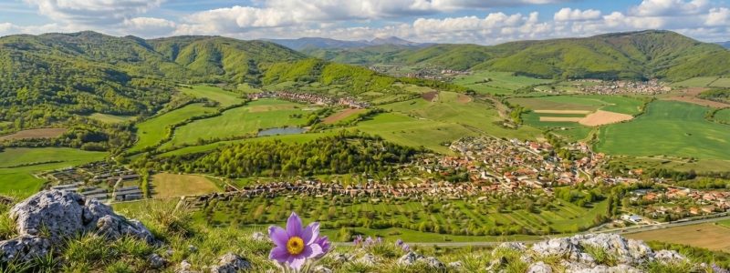 Brzotínska skala (598 m n.m.)