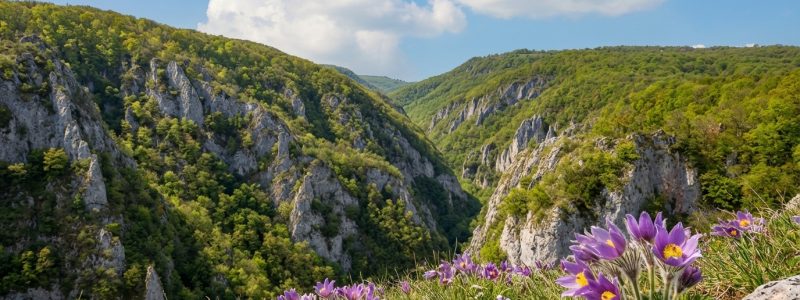 Zádielska vyhliadka na Krkavčích skalách 570-600 m n.m.