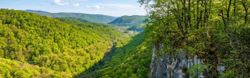 Sokolia skala (450 m n.m.)