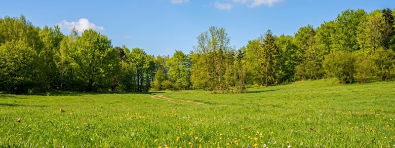 Borčianska planina (Borčianska brázda) Borčianska planina (Borčianska brázda)