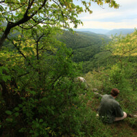 Sokolia skala (450 m n.m.)