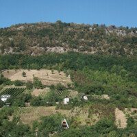 Hrušovská lesostep