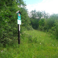 NPR Domické škrapy