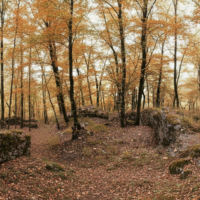Hrad Brzotín (Brzotínsky hrad ) – zrúcanina Hrad Brzotín