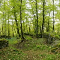 Hrad Brzotín (Brzotínsky hrad ) Hrad Brzotín (Brzotínsky hrad )