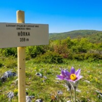 Vrch Hôrka (359 m n.m.) Vrch Hôrka (359 m n.m.)