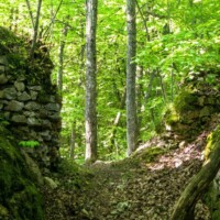 Hrad Sokolí kameň – zrúcanina Hrad Sokolí kameň – zrúcanina