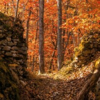 Hrad Sokolí kameň – zrúcanina Hrad Sokolí kameň – zrúcanina