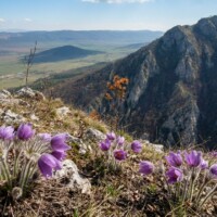 Zádielska vyhliadka na Krkavčích skalách 570-600 m n.m.