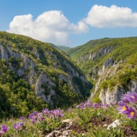 Zádielska vyhliadka na Krkavčích skalách 570-600 m n.m.