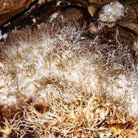 Ochtinská aragonitová jaskyňa Ochtinská aragonitová jaskyňa