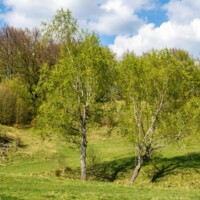 Krasové závrty na Plešiveckej planine Krasové závrty na Plešiveckej planine