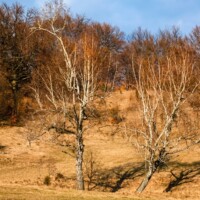Krasové závrty na Plešiveckej planine Krasové závrty na Plešiveckej planine