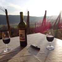 Vinárstvo Sentpétery – Turnianska vínna cesta Vinárstvo Sentpétery – Turnianska vínna cesta