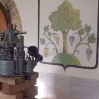 Vinárstvo Sentpétery – Turnianska vínna cesta Vinárstvo Sentpétery – Turnianska vínna cesta