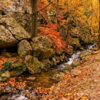 Chotárny potok (Blatnica) Chotárny potok (Blatnica)