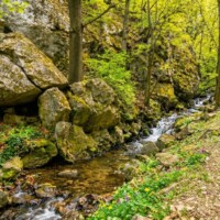 Chotárny potok (Blatnica) Chotárny potok (Blatnica)