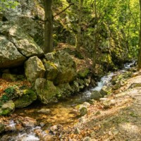 Chotárny potok (Blatnica) Chotárny potok (Blatnica)