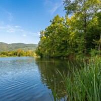 Hrušovské rybníky Hrušovské rybníky