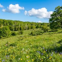 Planina Dolný vrch Planina Dolný vrch